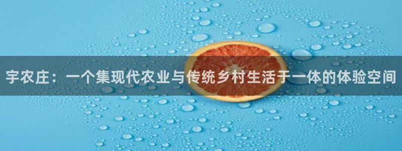 莉莉斯园游会九游