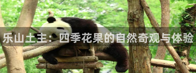 亚洲九游会公司