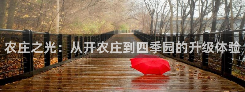 亚洲九游会公司