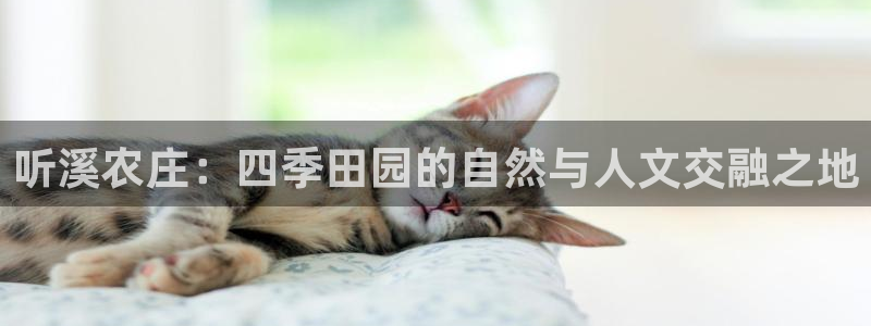 亚洲九游会公司