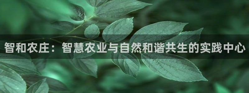 九游会体育网址