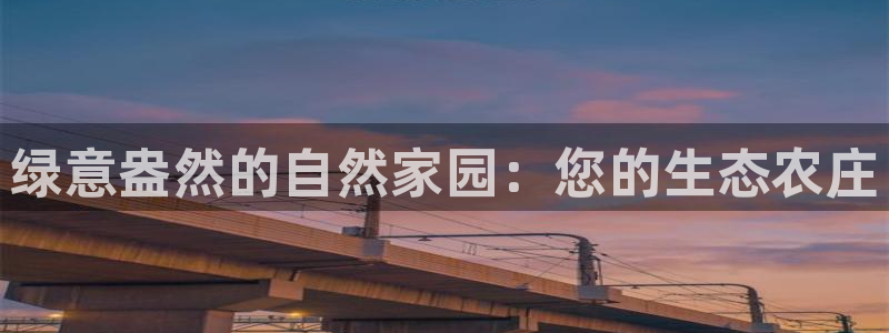 九游会大家有没有玩