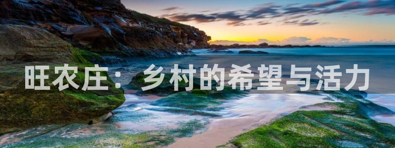 亚博九游会ku游