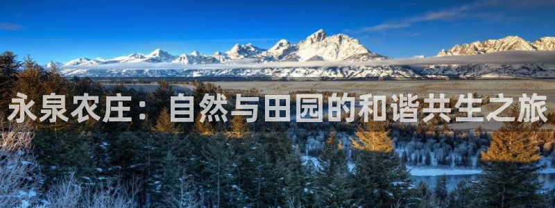 亚游停运转九游会