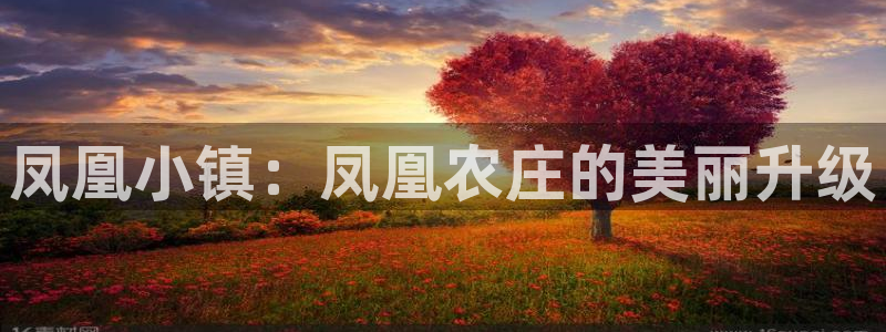 九游会国际物流